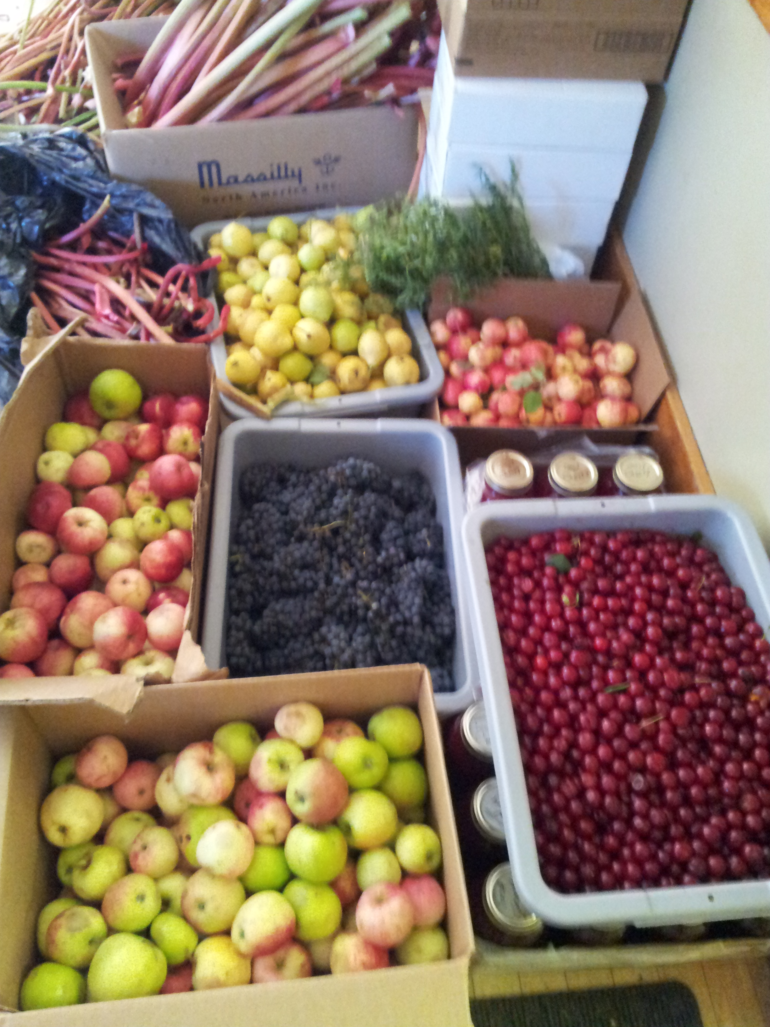 Abundance in September.jpg