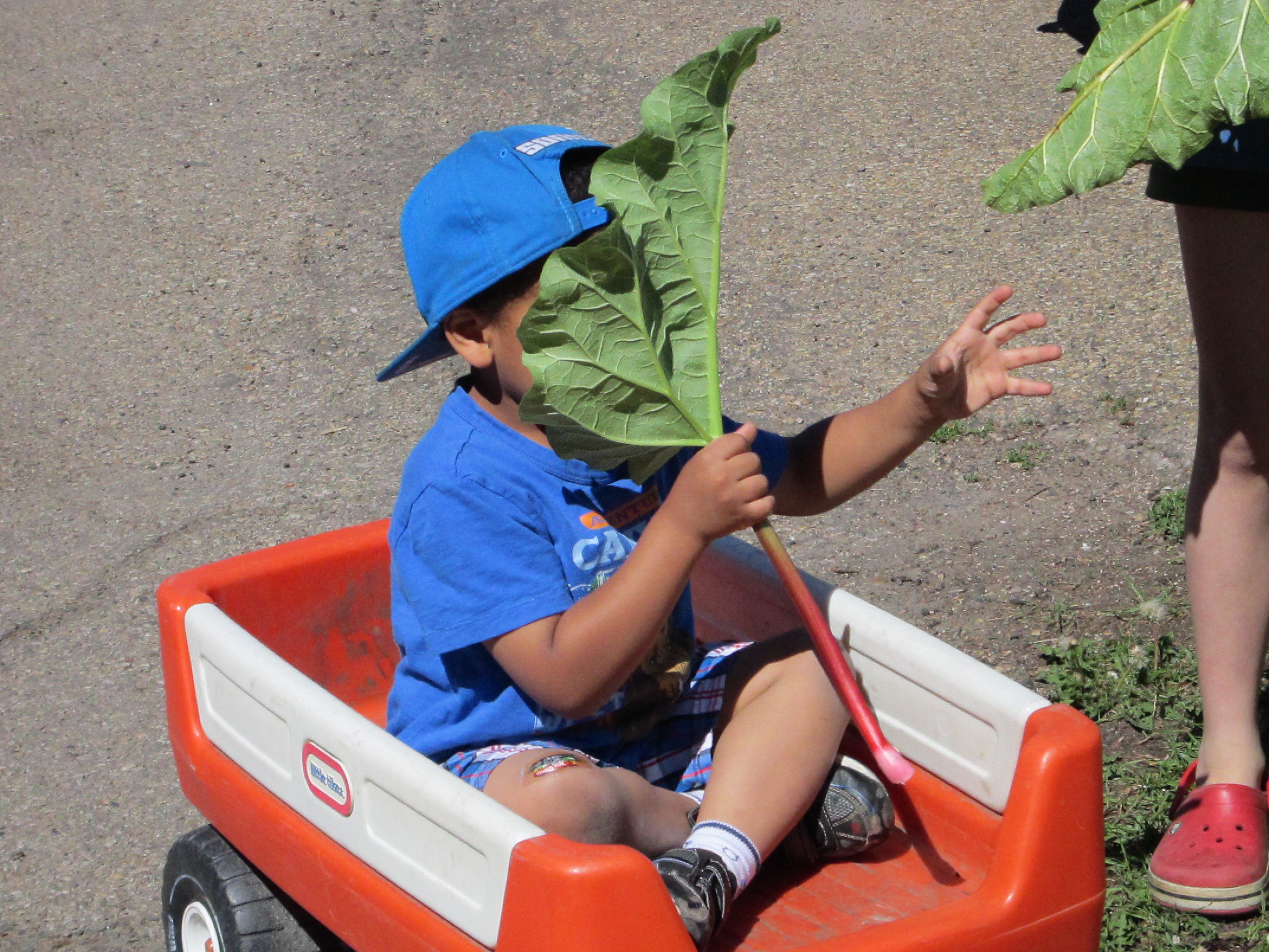 Picking with Oma.jpg